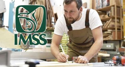 Seguros del IMSS a que tienen acceso los trabajadores independientes