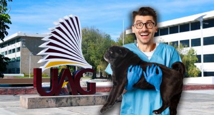 ¿Amante de los animales? La UAG abre la carrera de Veterinaria y Zootecnia en Guadalajara