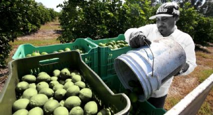 'Los criminales se han convertido en empresarios que obligan a pagar impuestos': Carlos Arrieta