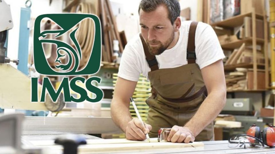 Estos son los seguros del IMSS al que tienen acceso los trabajadores independientes