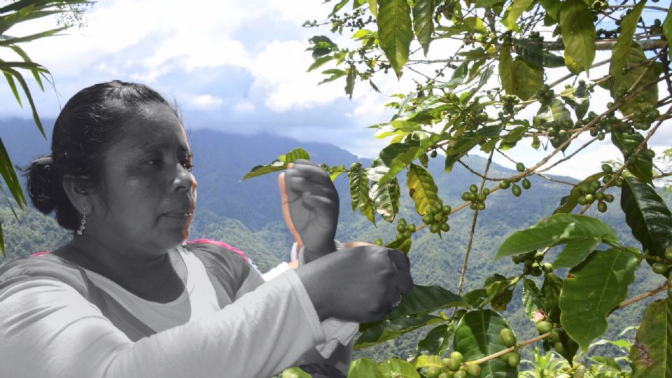 La presión ejercida por los criminales ha transformado a algunos de ellos en 'empresarios del miedo'.