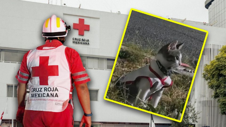 Urgencio fue encontrado en situación de vulnerabilidad por un grupo de voluntarios de la institución.