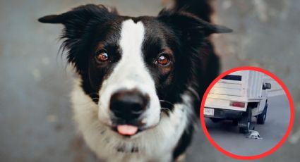 Crueldad animal en Puerto Escondido: sujeto arrastra perro en plena carretera | VIDEO