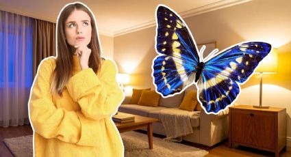 Cuando una mariposa aparece dentro de tu hogar: todo lo que su presencia podría estar indicándote