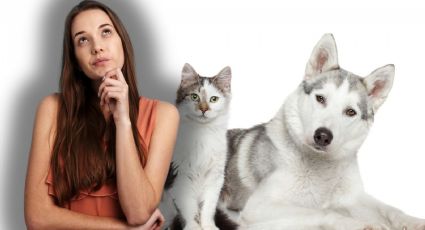 ¿Tu mascota siente celos? Aquí te explicamos cómo saberlo