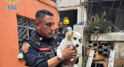 Policías bancarios rescatan a dos canes en un incendio; ambos oficiales resultaron intoxicados