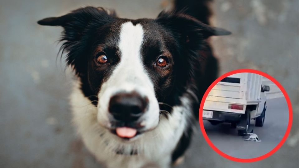 VIDEO | Indignación en Oaxaca: sujeto arrastra a perro en carretera de Puerto Escondido