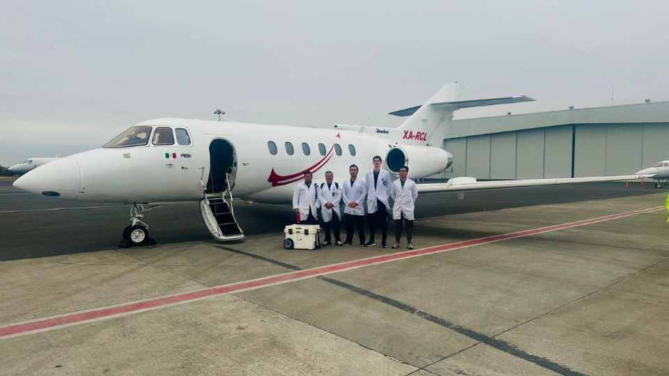 Especialistas del IMSS Nuevo León realizan trasplantes de alta complejidad que ofrecen una nueva esperanza a pacientes del noreste del país.