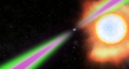 SpiderCat: el catálogo cósmico que revela cómo los “púlsares araña” devoran a sus compañeras estelar