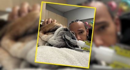 El lado más humano de Hamilton: la difícil situación de su perro Roscoe