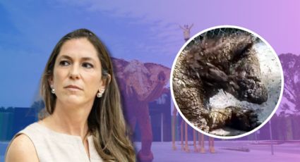 Realizará Profepa inspección exhaustiva al Zoológico La Pastora en Monterrey