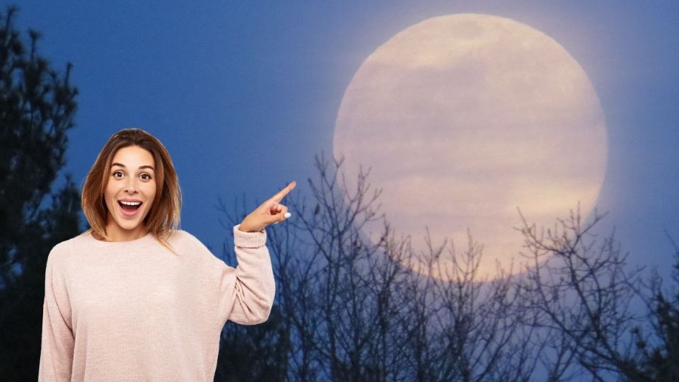 Si eres amante de este tipo de eventos, aquí conocerás todo lo relacionado con ellos.