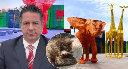 Remueven a coordinador del Zoológico La Pastora tras caso de osa