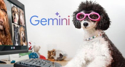 ¿Cómo hacer que tu perro hable en cámara con IA de Gemini? Este es el prompt que debes usar