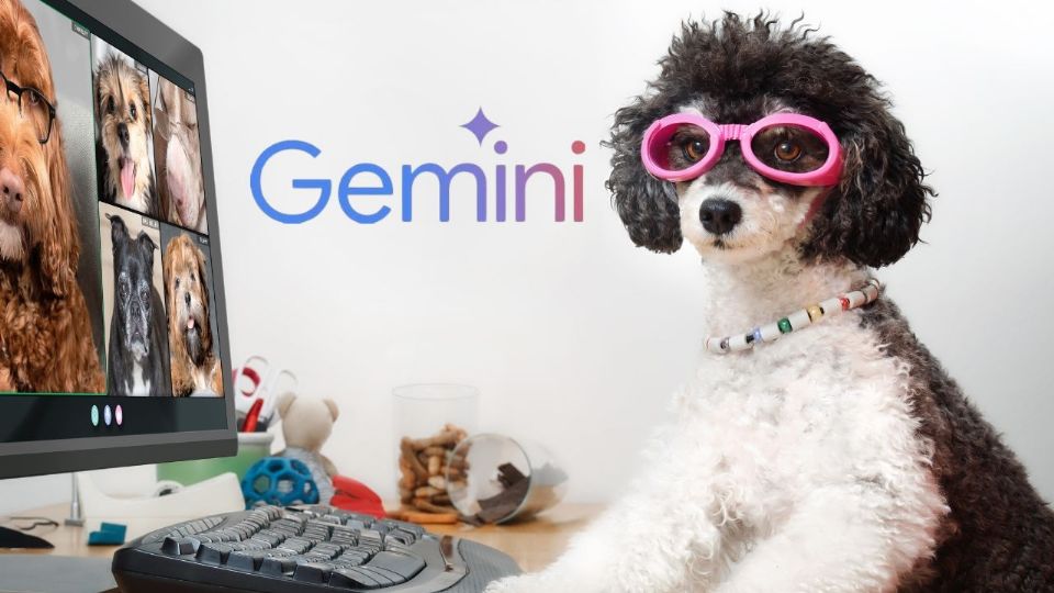 ¡Descubre el poder de la IA con Gemini! ¿Te imaginas a tu perro hablando en cámara con voz propia?