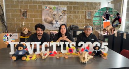 Fundación Invictus informa sobre el estado crítico de la osita Mina tras su rescate