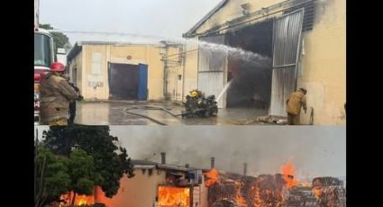 Incendio en planta de cartón de una empresa avícola del periférico de Mérida