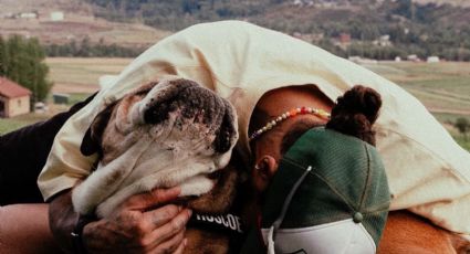 La emotiva despedida de Lewis Hamilton a su inseparable perro Roscoe: “Murió en mis brazos"