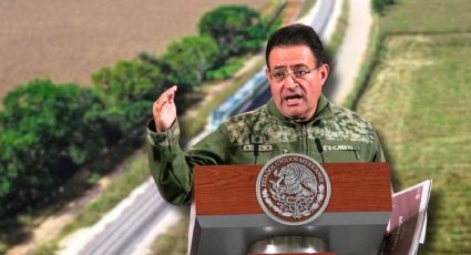 Alertan daños medioambientales irreversibles por el Tren Maya: ‘La selva se está perdiendo’