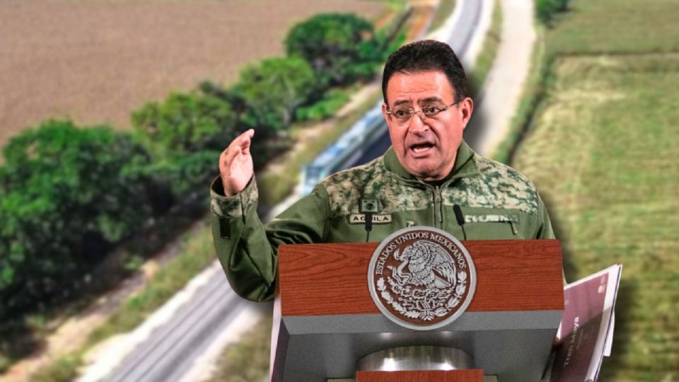 El daño ambiental no termina con la obra ferroviaria. Christy alertó que el Tren Maya también detonó una ola de especulación inmobiliaria en la región.