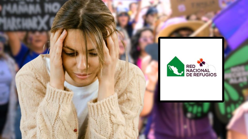 La Red Nacional de Refugios emitió una alerta sobre lo que consideran una grave invisibilidad del tema de la violencia contra las mujeres.