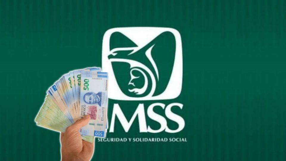 Así se puede solicitar un préstamo con la Ley 73 del IMSS