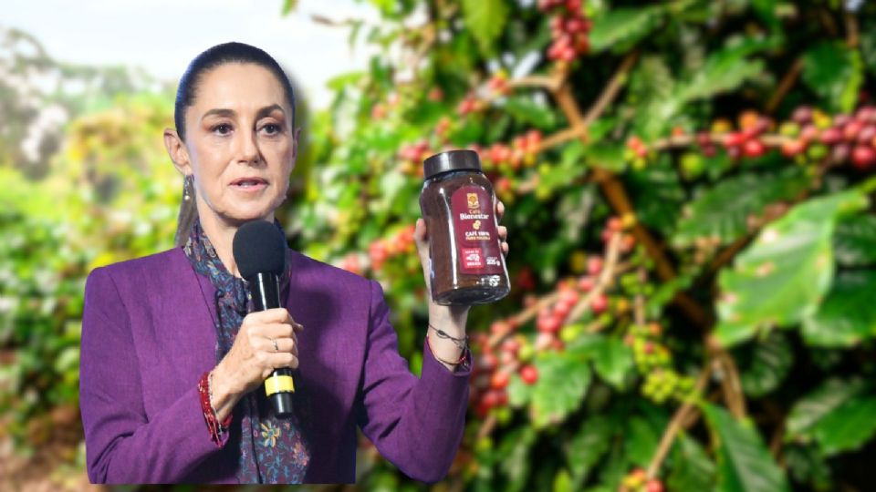 El producto llegará a través de la red de Tiendas del Bienestar.