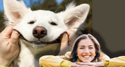 5 señales de que tu perro está feliz de verte, según la ciencia