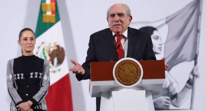 Para reforma electoral se escuchará a mexicanos en el extranjero