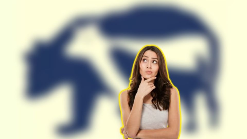 Encuentra a los nueve animales en este reto visual