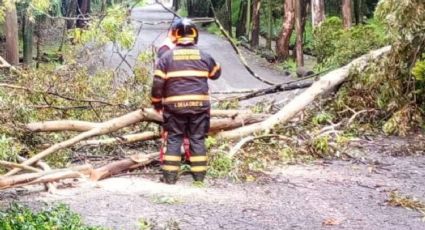 Bomberos atendieron múltiples encharcamientos, árboles y postes caídos, así como cortoscircuitos