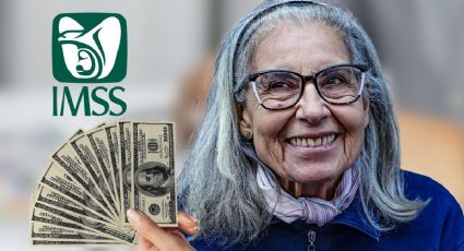 Cuántas semanas cotizadas debes tener para poder jubilarte bajo la Ley 73 del IMSS