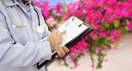 Además de un hermoso arreglo para tu casa, estos son los usos medicinales de la bugambilia