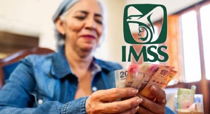 Estos son los beneficiarios que puedes agregar para aumentar tu pensión bajo la Ley 73 del IMSS