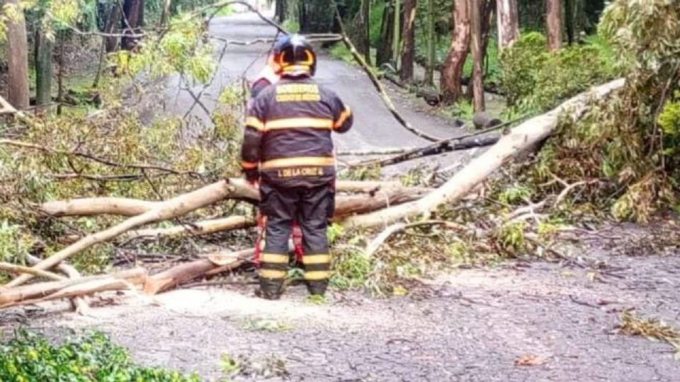 La dependencia informó que se esperan lluvias fuertes puntuales hoy.