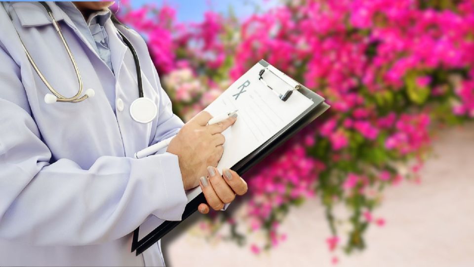 La bugambilia , es también conocida como bougainvillea o, cariñosamente, “flor de papel”.