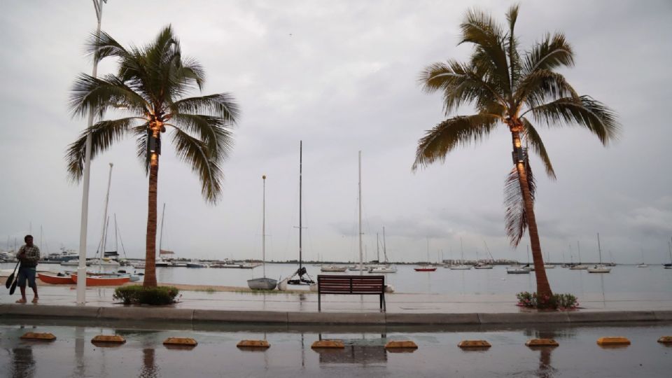 Se encuentra en operación una fuerza de tarea de 2 mil 835 elementos de los tres órdenes de gobierno.