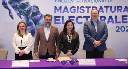 Mónica Soto: Nadie puede llamarse dueño de la democracia