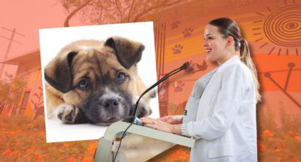 Nuevo León enfrenta 15 mil denuncias por maltrato animal y abre centro especializado en Guadalupe