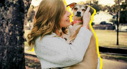 Tener mascotas puede traerte beneficios a la salud, de acuerdo con la Universidad de Harvard