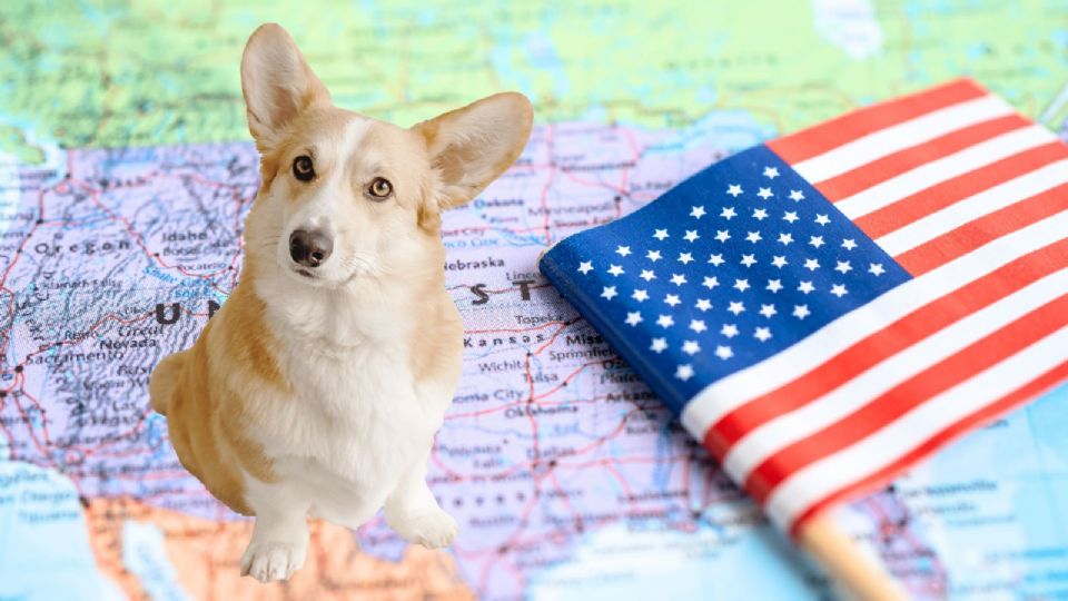 El caso de Laura Lee Yourex ha generado una amplia discusión sobre los posibles vacíos legales.