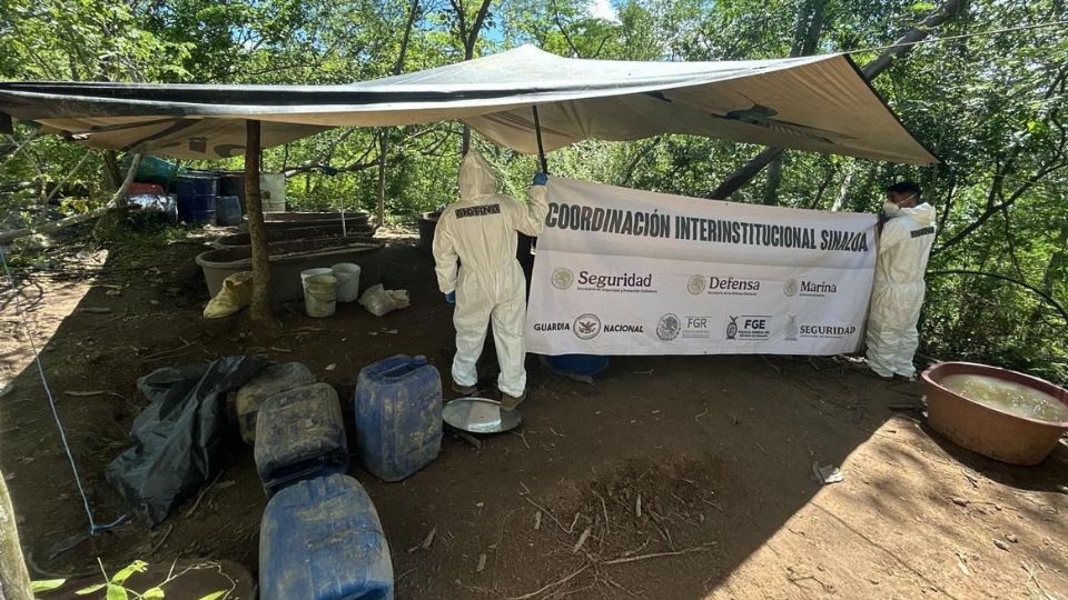 En el poblado Carricitos, Durango, elementos de la Armada de México neutralizaron un narcolaboratorio perteneciente a Los Mayos.