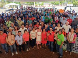 Sheinbaum anuncia impulso a la producción de jamaica en Guerrero para fortalecer ingresos del campo