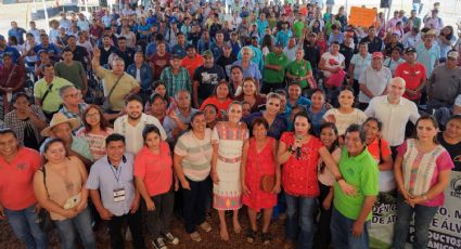 Sheinbaum anuncia impulso a la producción de jamaica en Guerrero para fortalecer ingresos del campo