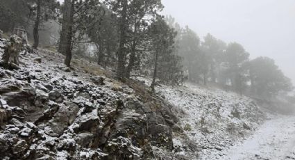 VIDEO | Reportan caída de nieve en el Cerro del Potosí, en Galeana