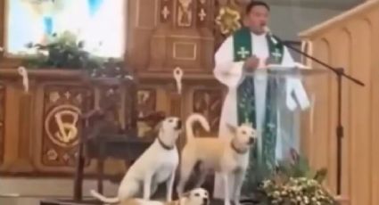 VIDEO | Perros se ponen a ‘cantar’ durante una misa y se hacen virales