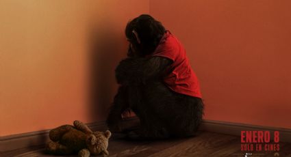 “Primate”: El instinto toma el control en el paraíso