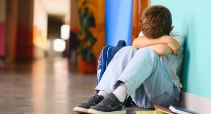 PVEM propone crear centros de atención contra el bullying en escuelas del país