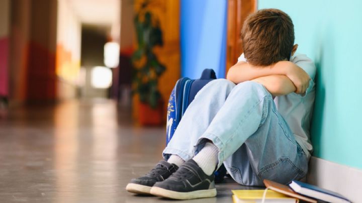 PVEM propone crear centros de atención contra el bullying en escuelas del país