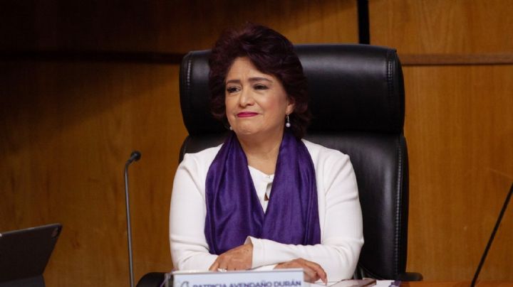 Desaparición del IECM centralizará la función electoral, advierte consejera presidenta